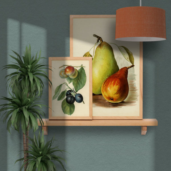 Fruits - Image 5