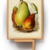 Fruits I