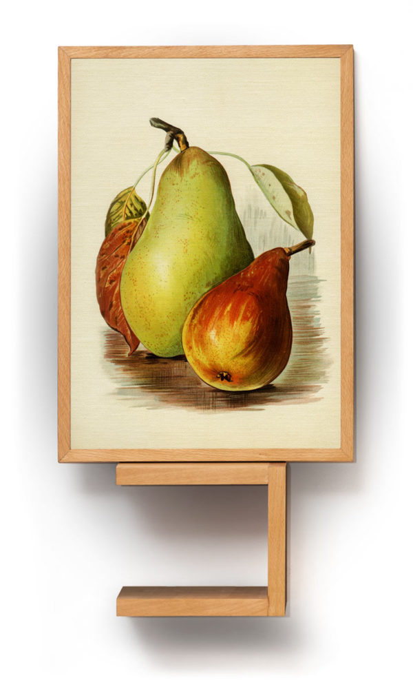 Fruits I